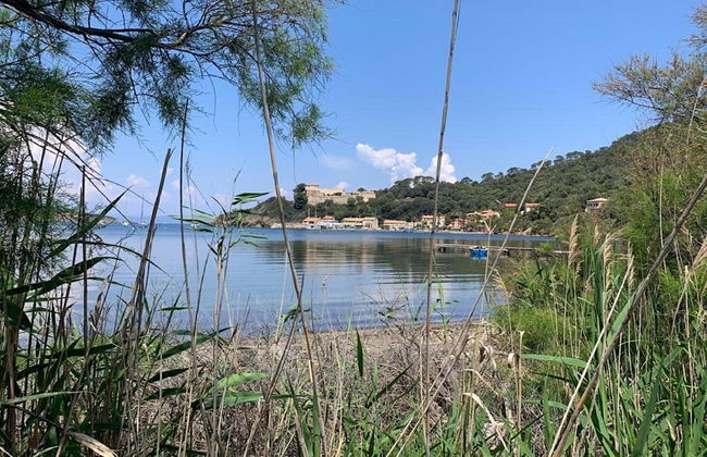 Villa in Gaou With Sea View and Beach - Foto 25