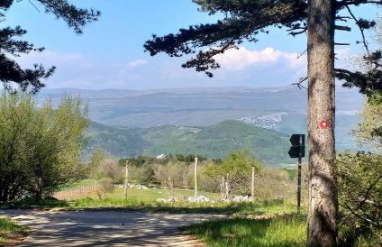 Rural Apartment Carolina - Foto 4