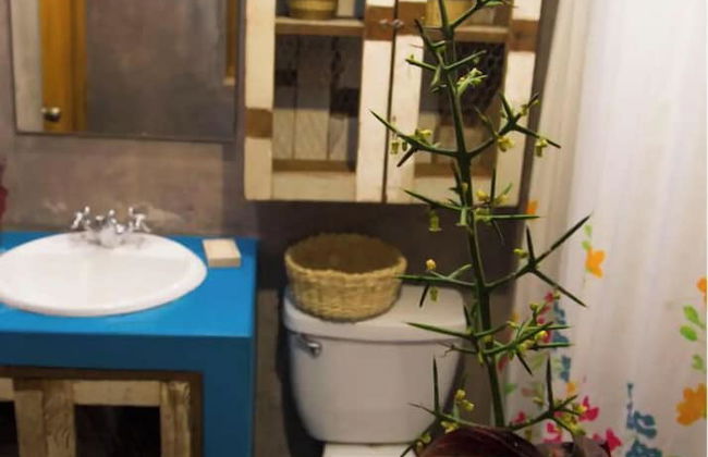 Samay Wasi Mala - Foto 13