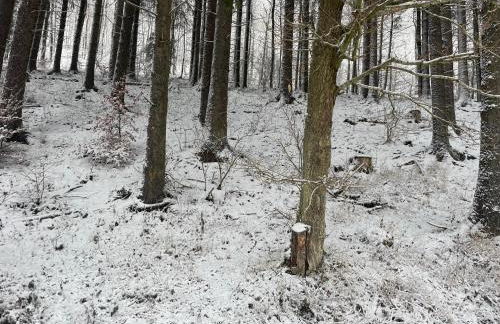 Ferienwohnung Lenzen - Photo 6