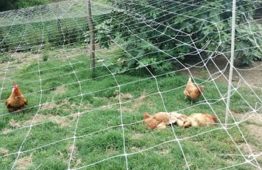 Casa relax immersa nel verde della natura - Foto 13
