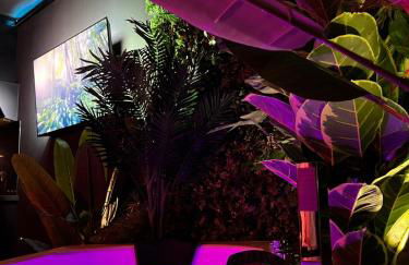 Amazonia Suite - Starry Sky & Spa Bath - Foto 21