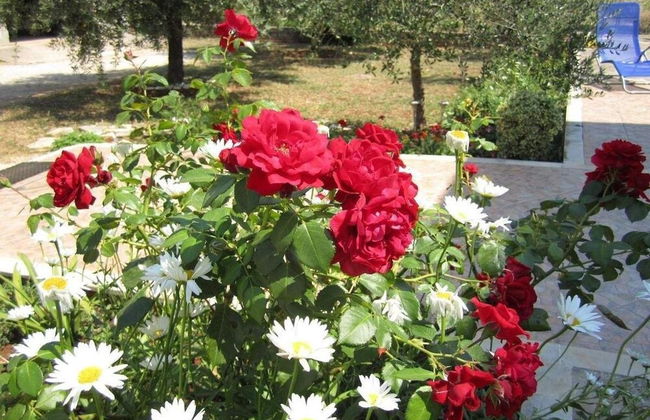 Apartments Biocic - Foto 32