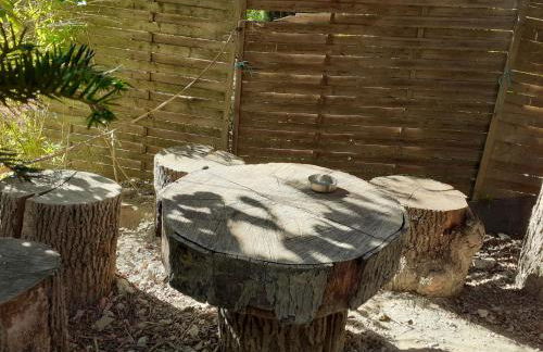 La Cabane des Trappeurs - Foto 46