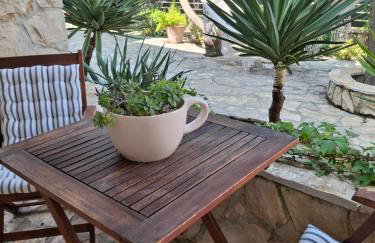 Villa Gjardini - Sparadici - Photo 44