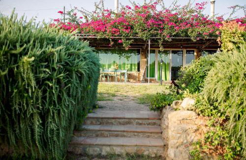 Limora' Tenuta Millaci - Foto 20