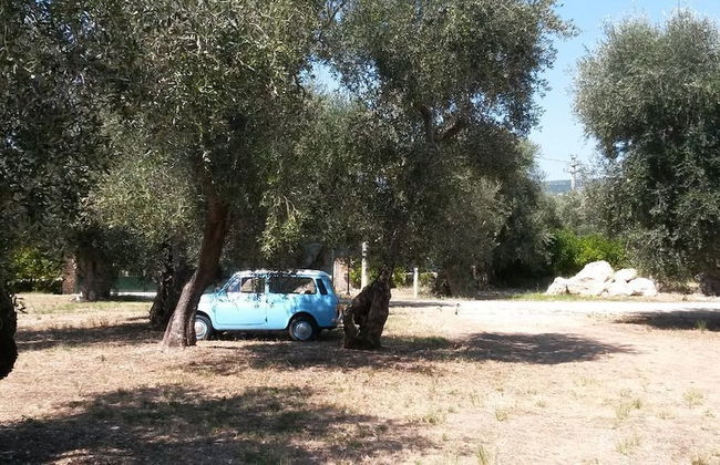 Tenuta Santa Maria - Foto 62