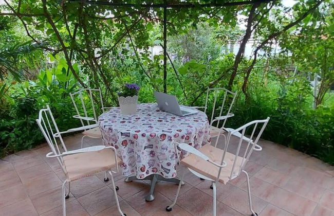 Green Garden Oasis - Photo 30