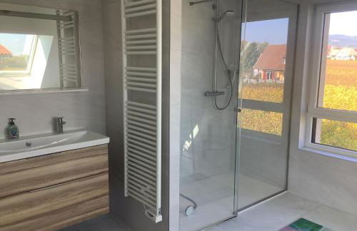 Superbe Maison Jacuzzi+Piscine au cœur des vignes - Foto 19