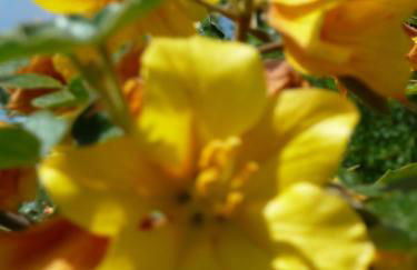 Podere Sant'Angelo - Foto 34