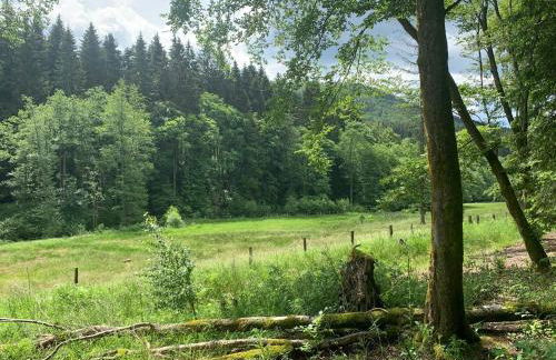 Appartement Rothaarsteig - Foto 14