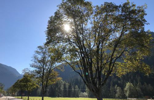 Holiday @ Bad Hindelang - Foto 18