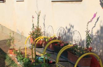 Apartments by the sea Sveti Ivan, Umag - 7002 - Foto 6