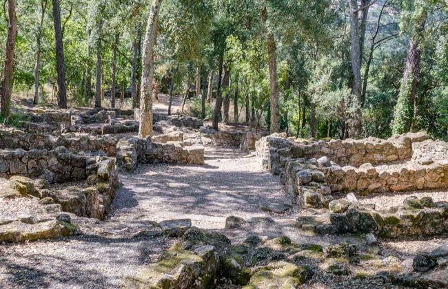 Tour in O Pereiro de Aguiar - Photo 2