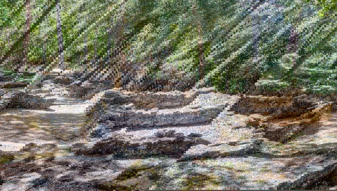 Tour in O Pereiro de Aguiar - Photo 2