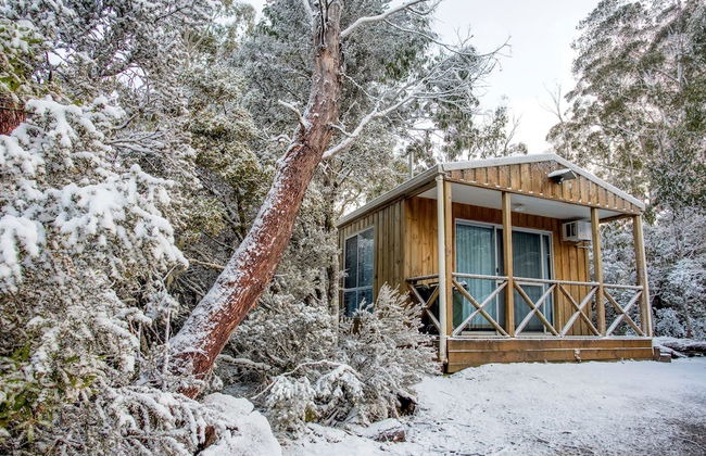 Discovery Parks - Cradle Mountain - Foto 71