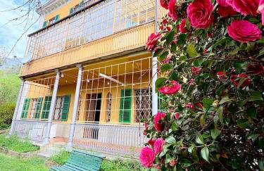 Villa Rollier, Arte e Meditazione - Photo 1