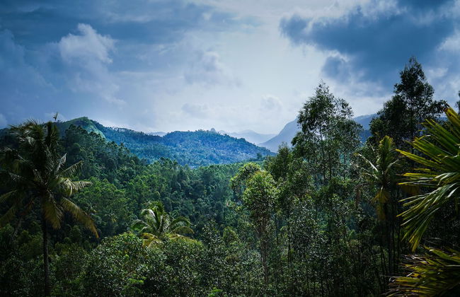 OYO 16630 Home Cocoa Tree Residency - Foto 34