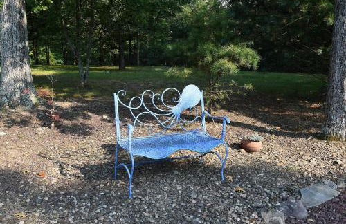 Mountain Meltdown - Pet Friendly, Grill, Wifi, Fire Pit, EV Station -Shared Space - Grill, Fire Pit, Covered Porch, Fountain Pond - Foto 43