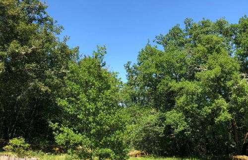 Les choses de la vie - Foto 46