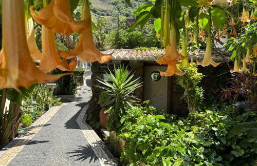 Bela Vigia - Foto 57