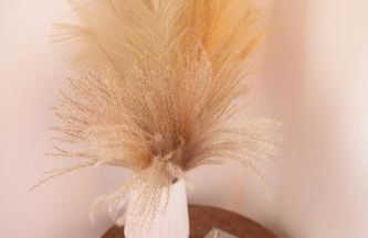 Villa Aelia Kefalos-Private & Spacious with Pool - Foto 30