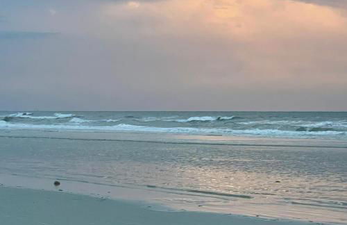 Paris Salinas - Photo 12