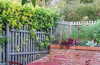 Le Moulin de Dannemarie - Foto 95