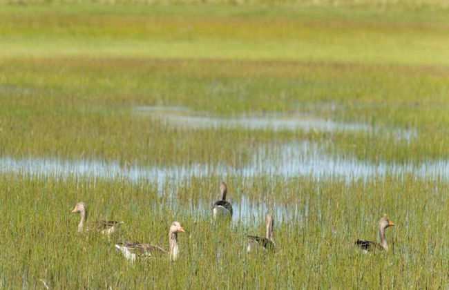 Villa in Midsland Near the Sea - Foto 24