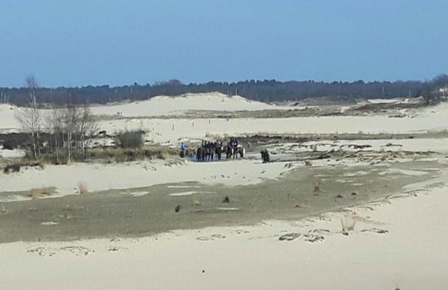 Chalet Near Loonse and Drunense Duinen - Photo 27