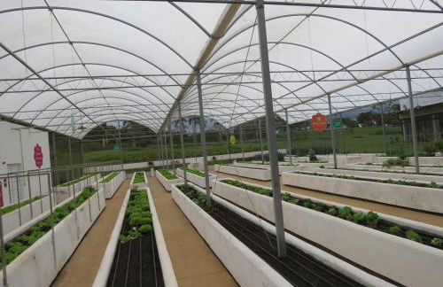 Recanto Dos Gansos - Foto 38