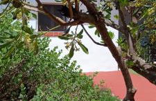 La Maisonette - Photo 22