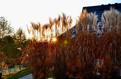 Brzozowa Osada - Photo 39