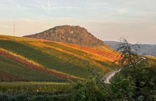 Ferienwohnung Krieger - Foto 34