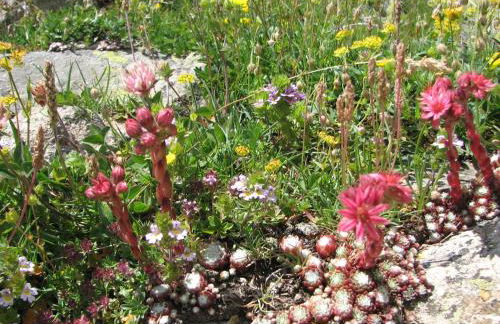 Appt Le Hameau Des Rennes 4 étoiles Pieds des pistes Piscine Intérieure Extérieure - Foto 36