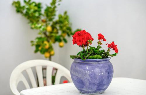 Appartamento Marirò - Photo 41