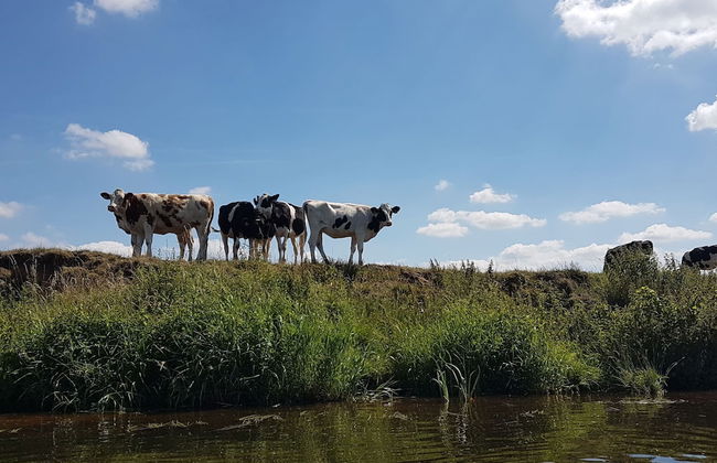 Houses Toger With Group Space in 't Vechtdal - Foto 27