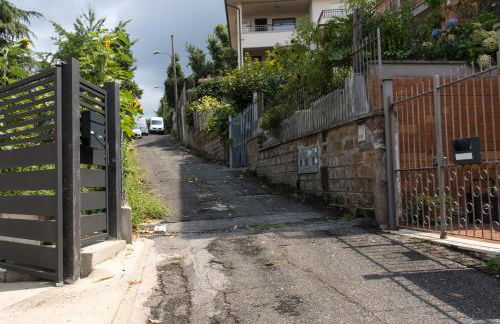 Big Family - Foto 34