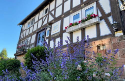 WERTS HOF FerienWohnen - Foto 45