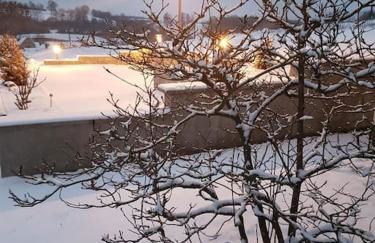 Fewo "Elsa" Reichmannsdorf - Brötchenservice - Foto 45