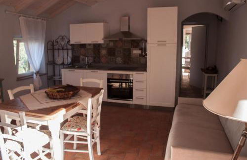 mulino della rivolta - Foto 22