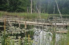 Ferienhaus Kiara - Foto 20