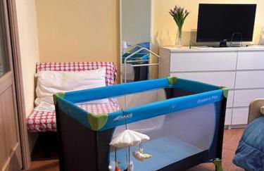 i tulipani - Foto 56