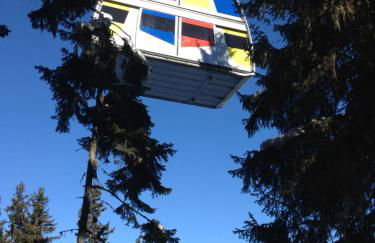 Chalet Miravidi, Montchavin-La Plagne, Jacuzzi & Sauna - Foto 14