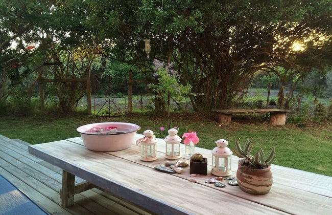 Baviaanshoek - Photo 23