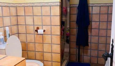 maison Cueva cosy - Foto 5, Shower