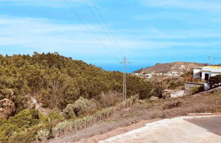 Vista Pino - Foto 40