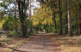 WEIßE HÖHEN -Ferienhaus, Dibbersen bei Hamburg - Foto 38