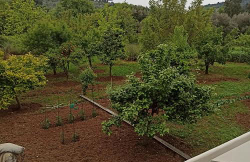 Εξοχική κατοικία - cottage Τίνα - Foto 29