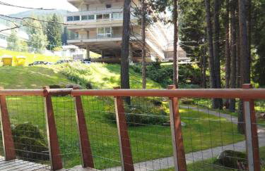 Sul cucuzzolo - Foto 53